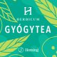 Gyümölcstea feketeribizli 100g