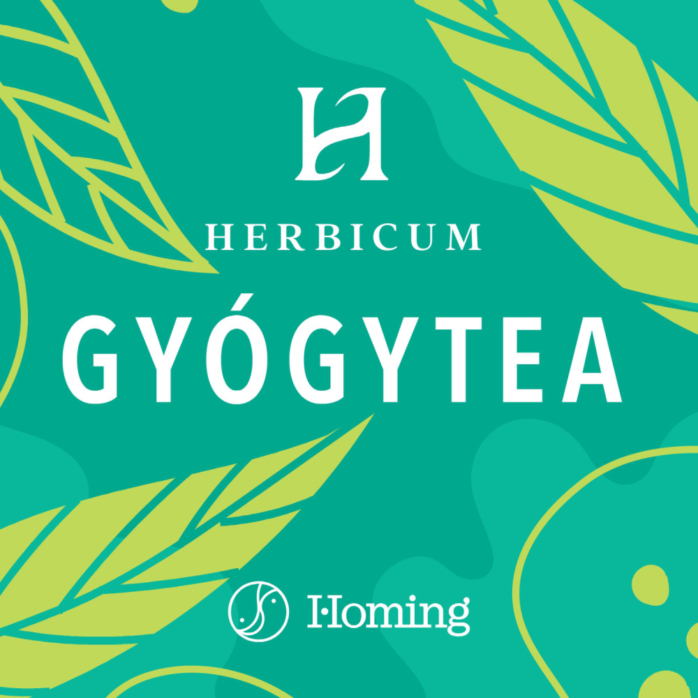 Gyümölcstea feketeribizli 1000g akciós termékkép 1